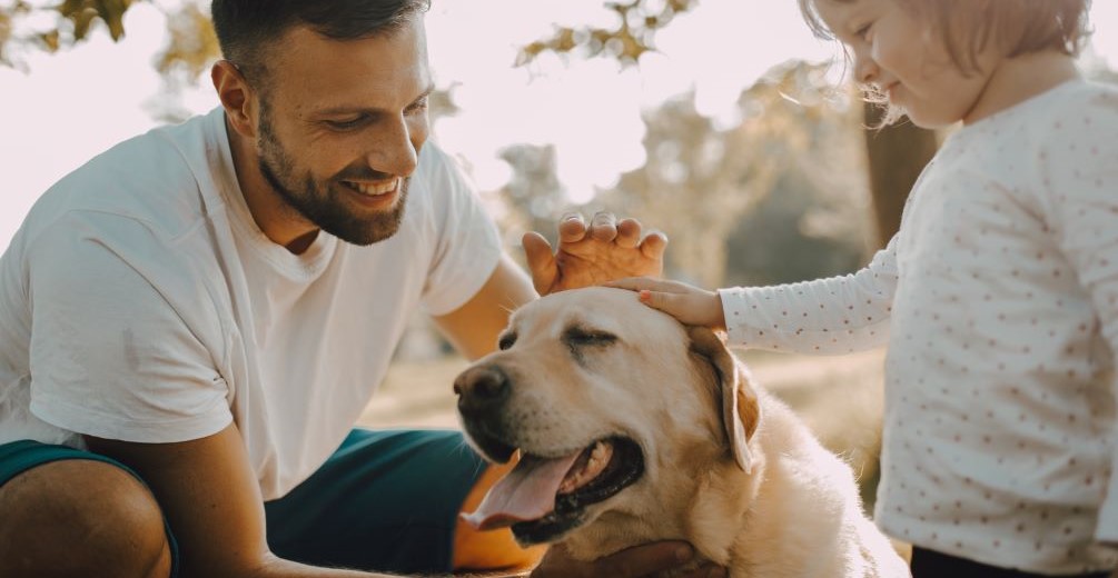 Un padre con su hijo acariciando a su perro golden retirver